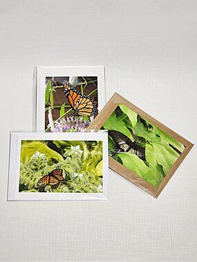 Butterfly photo greeting cards
